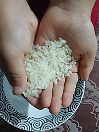 Organik Doğal Pirinç