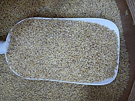 BULGUR
